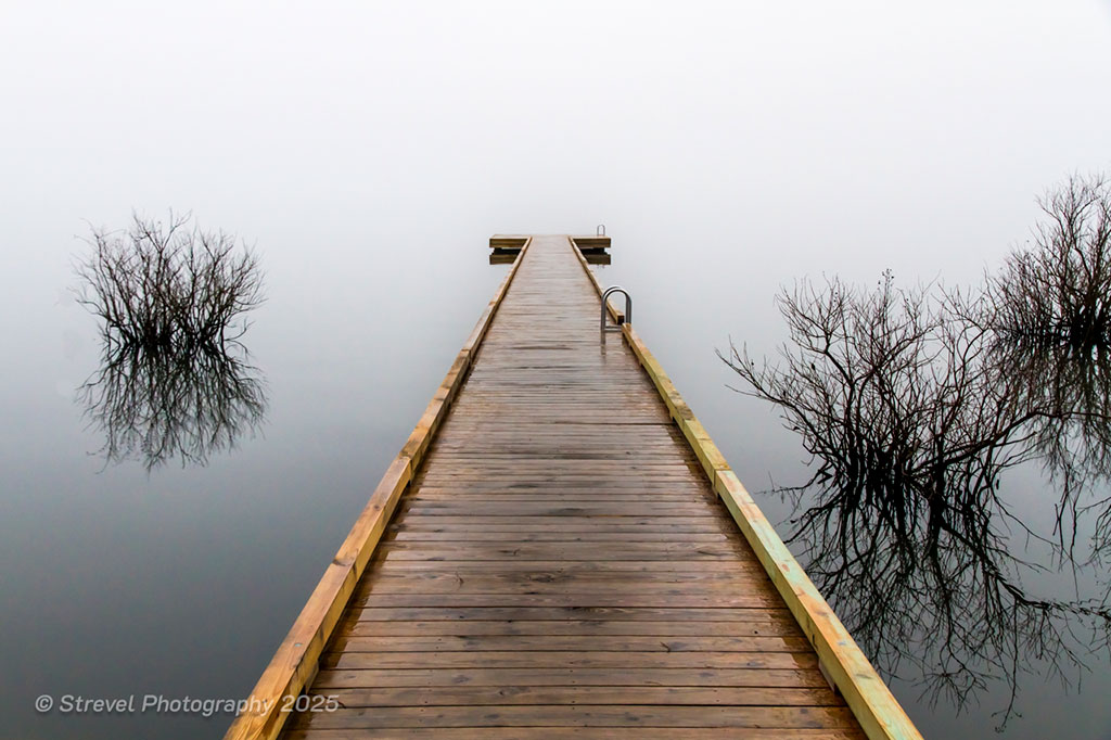 Into the Mist Photograph by David Strevel